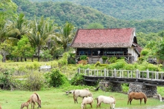 Lakey Beach Inn Restaurant
